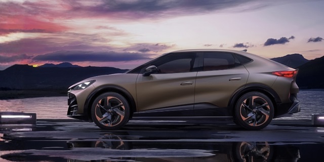 Der CUPRA Tavascan Endurance in Bronze in der Seitenansicht vor einem Sonnenuntergang.