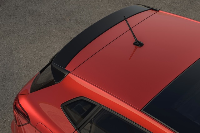 SEAT Ibiza Black Edition Dach