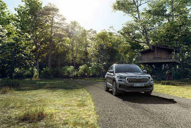 SKODA KODIAQ grau