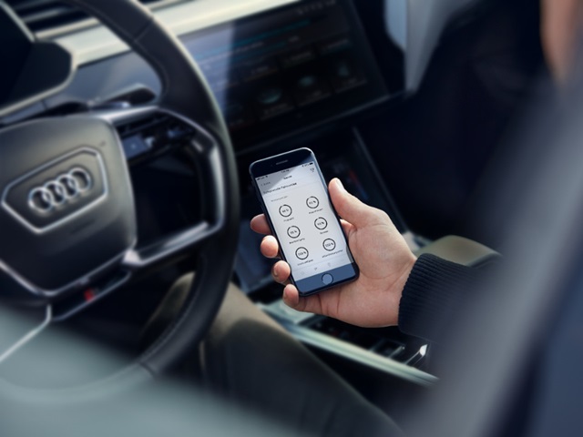 Nachrüstung Audi DataPlug