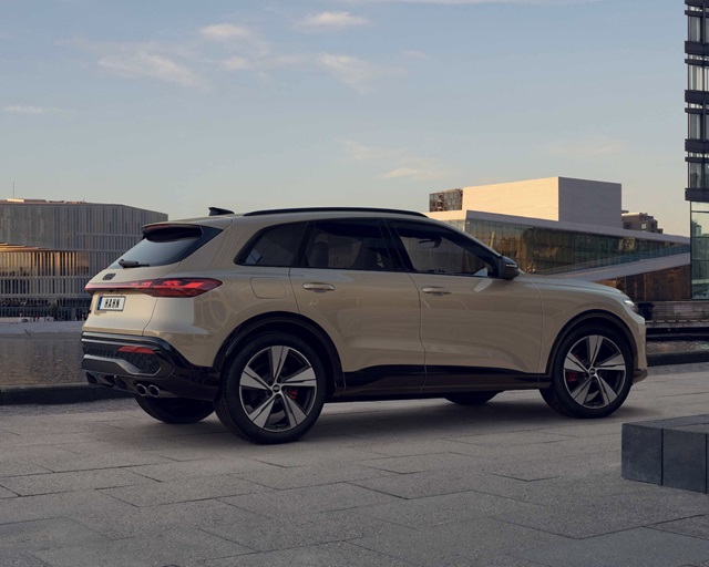 Der Audi SQ5 in Heck-Seitenansicht parkend in einer urbanen Umgebung.