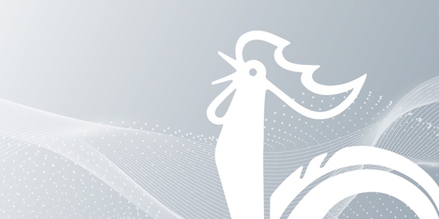 Hahn Logo auf grauem Hintergrund